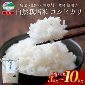 【ふるさと納税】岩美町産 自然栽培米 コシヒカリ（玄米）3kg～10kg｜鳥取 岩美町 自然 お米 米 玄米 選べる内容量 自然栽培 無農薬 無肥料