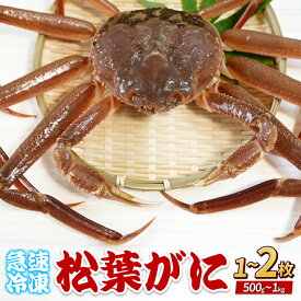 【ふるさと納税】松葉がに（冷凍）約500g 1～2枚｜鳥取 岩美 かに 松葉ガニ 年末年始 冷凍 生 プロトン凍結 急速冷凍 在庫限り年内発送