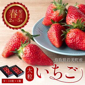 【ふるさと納税】【2026先行予約】米村農園「大粒いちごA」｜鳥取 岩美 苺 いちご イチゴ 果物 フルーツ とっておき あきひめ べにほっぺ いずれか【42001】
