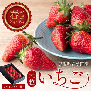 yӂ邳Ɣ[Łzy2026s\zđ_u嗱Bvb    C`S ʕ t[c ƂĂ Ђ ׂɂق ꂩy42002z