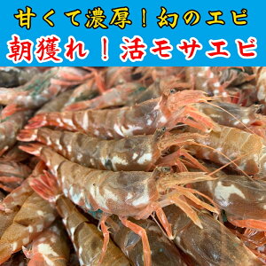 yӂ邳Ɣ[Łz ጶ̃Gr⒩lITGr ԑ`yȂVNgz2026N2`b挧   ҎҊCV  Gr ① VN y23003z