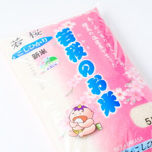 yӂ邳Ɣ[Łzy6z136Dʍ͔|ā@i킩ĵā@RVqJ@6ցi5kg×6j