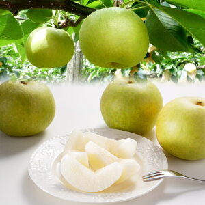 yӂ邳Ɣ[Łz201-W1Dys\z\I@G5kgO