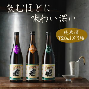 【ふるさと納税】36.辨天娘(純米酒)720ml×3種