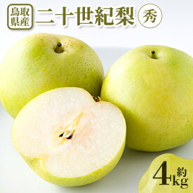 【ふるさと納税】【先行予約】二十世紀梨　秀 約4kg【配送不可地域：離島・北海道・沖縄県】【1532296】