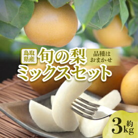 【ふるさと納税】【先行予約】【品種はおまかせ】旬の梨ミックスセット 約3kg【配送不可地域：離島・北海道・沖縄県】【1532306】