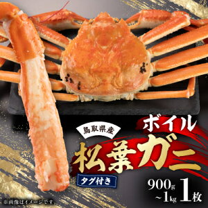 yӂ邳Ɣ[Łz挧Y^Ot{CtKj1(900g`1kg)yzsnFEkCEꌧzy1533392z
