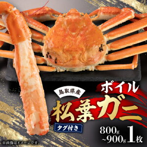 yӂ邳Ɣ[Łz挧Y@^Ot{CtKj1(800`900g)yzsnFEkCEꌧzy1536352z