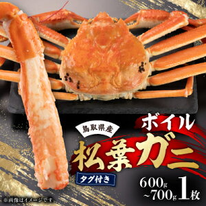 yӂ邳Ɣ[Łz挧Y@^Ot{CtKj1(600g`700g)yzsnFEkCEꌧzy1536354z