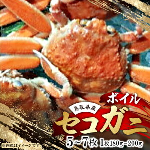 yӂ邳Ɣ[Łz挧Y@{CZRKj@5`7(1:180`200g)yzsnFEkCEꌧzy1536356z