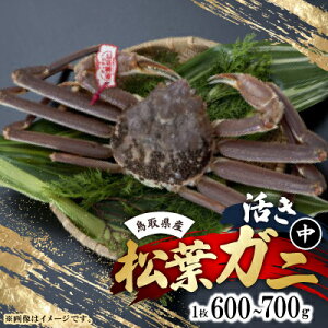 yӂ邳Ɣ[Łz@挧Y^OttKj1(600g`700g)yzsnFEkCEꌧEkE֓EMzAkECEBzy1536361z