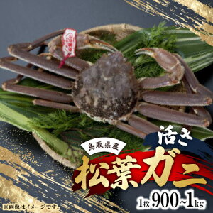 yӂ邳Ɣ[Łz@挧Y^OttKj LL 1(900g`1kg)yzsnFEkCEꌧEkE֓EMzAkECEBzy1536363z