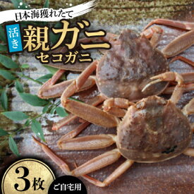 【ふるさと納税】【先行予約】【活き】日本海獲れたて親ガニ(セコガニ)3枚　※11月中旬から順次発送【配送不可地域：離島・北海道・沖縄県】【1536858】