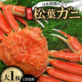 【ふるさと納税】【先行予約】【蒸し】ご自宅用日本海獲れたて松葉ガニ　大　1枚【配送不可地域：離島・北海道・沖縄県】【1536860】