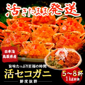 yӂ邳Ɣ[ŁzyVƂꂽāz ZCRKj  p 1kg 5`8 tKj̃X 挧yzsnFEkCEꌧEkE֓EMzAkECEBzy1539344