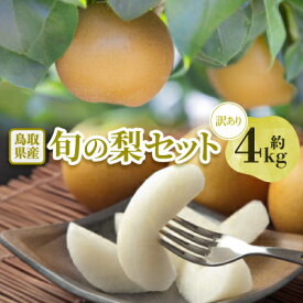 【ふるさと納税】【訳あり】鳥取県産旬の梨セット 4kg_ 梨 なし 訳あり 旬 人気 おすすめ 送料無料 果物 くだもの フルーツ 4kg セット ミックス 詰合せ 【配送不可地域：離島・北海道・沖縄県】【1554510】