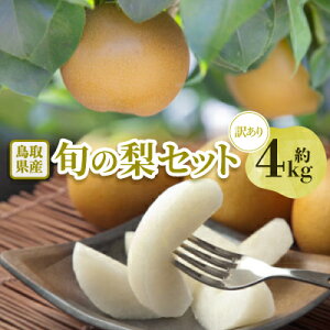 yӂ邳Ɣ[Łzy󂠂z挧Y{̗Zbg 4kg_  Ȃ 󂠂 { lC   ʕ  t[c 4kg Zbg ~bNX l yzsnFEkCE