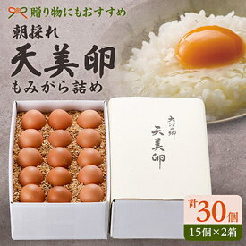 【ふるさと納税】天美卵もみがら詰め30個【配送不可地域：離島】【1571307】