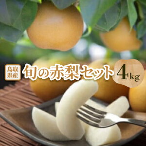 yӂ邳Ɣ[Łzys\zyi͂܂z{̐ԗZbg@4kgyzsnFEkCEꌧzy1593364z