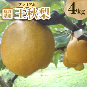 yӂ邳Ɣ[Łzv~AH@4kgyzsnFEkCEꌧzy1593367z