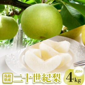 【ふるさと納税】【訳あり】二十世紀梨　4kg【配送不可地域：離島・北海道・沖縄県】【1593369】
