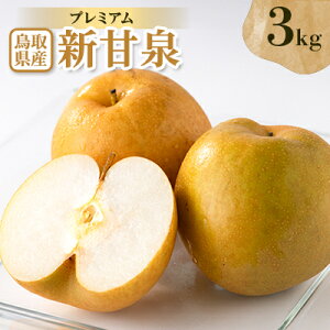 yӂ邳Ɣ[Łzv~AVÐ 3kgyzsnFEkCEꌧzy1593374z