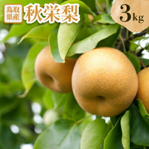 yӂ邳Ɣ[ŁzHh@3kgyzsnFEkCEꌧzy1593375z