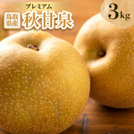 【ふるさと納税】プレミアム秋甘泉 3kg【配送不可地域：離島・北海道・沖縄県】【1593376】
