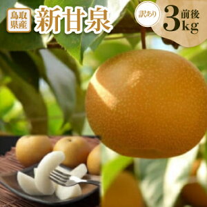 yӂ邳Ɣ[Łz󂠂@VÐ(񂩂񂹂)@3kgOyzsnFEkCEꌧzy1593377z