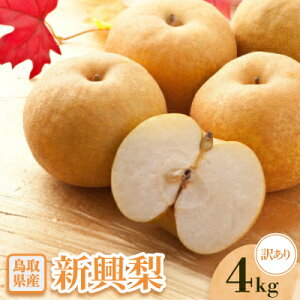 yӂ邳Ɣ[Łzy󂠂zV@4kgyzsnFEkCEꌧzy1593380z