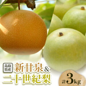 yӂ邳Ɣ[Łz\IƐVÐ̃Zbg 3kgyzsnFEkCEꌧzy1593387z