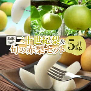 yӂ邳Ɣ[Łz\IƏ{̐ԗZbg 5kgyzsnFEkCEꌧzy1593388z