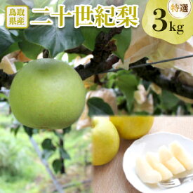 【ふるさと納税】二十世紀梨 特選3kg【配送不可地域：離島・北海道・沖縄県】【1593389】