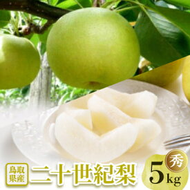 【ふるさと納税】二十世紀梨 秀5kg【配送不可地域：離島・北海道・沖縄県】【1593390】