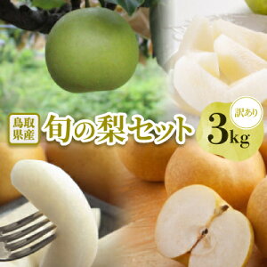 yӂ邳Ɣ[Łzy󂠂z挧Y{̗ 3kgyzsnFEkCEꌧzy1597636z