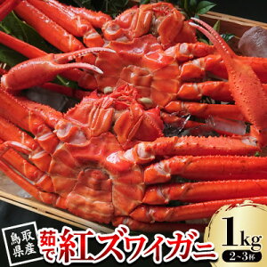 yӂ邳Ɣ[Łzys\z挧Y 䥂ōgYCKj 1kg(2`3t) 2025N9`2026N5yzsnFEkCEꌧEkEMzAkzy1631243z