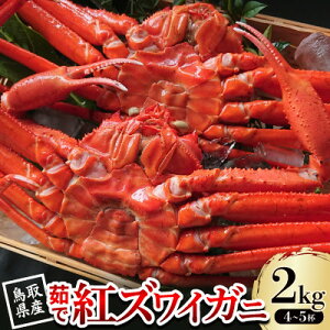 yӂ邳Ɣ[Łzys\z挧Y 䥂ōgYCKj 2kg(4`5t) 2025N9`2026N5yzsnFEkCEꌧEkEMzAkzy1631248z