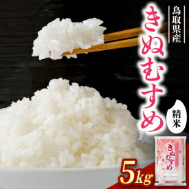 【ふるさと納税】【食味鑑定士厳選】鳥取県産 きぬむすめ5kg(5kg×1袋) 精米【1644346】