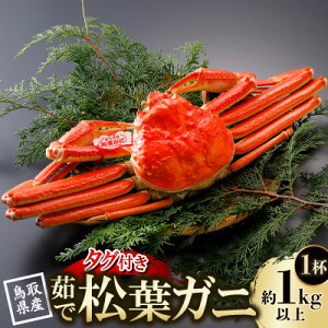 yӂ邳Ɣ[Łzys\z挧Y ^Ot 䥏t 1kgȏ×1t(X)2026N1菇yzsnFEkCEꌧEkEMzAkzy1648752z