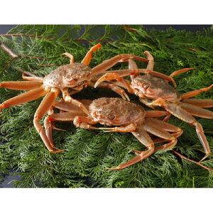 yӂ邳Ɣ[Łzys\z挧Y  e(ZRKj)200`230g×3t 2025N12yzsnFEkCEꌧEkEMzAkzy1649377z