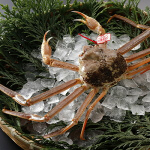 �y�ӂ邳�Ɣ[�Łz�y��s�\��z���挧�Y �^�O�t�� �����t���� 1kg�ȏ�×2�t(�������X)25�N12���E26�N1�������y�z���s�n��F�����E�k�C���E���ꌧ�E���k�E�M�z�A�k���z�y1692716�z