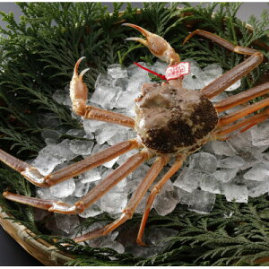 �y�ӂ邳�Ɣ[�Łz�y��s�\��z���挧�Y �^�O�t�� �����t���� 1kg�ȏ�×3�t(�������X)25�N12���E26�N1�������y�z���s�n��F�����E�k�C���E���ꌧ�E���k�E�M�z�A�k���z�y1692717�z