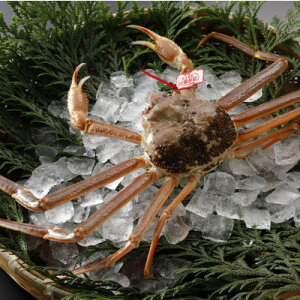 �y�ӂ邳�Ɣ[�Łz�y��s�\��z���挧�Y �^�O�t�� �� ���t���� 700g×2�t(�������X)25�N12���E26�N1�������y�z���s�n��F�����E�k�C���E���ꌧ�E���k�E�M�z�A�k���z�y1692720�z