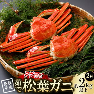 �y�ӂ邳�Ɣ[�Łz�y��s�\��z���挧�Y �^�O�t�� 䥏��t���� 1kg�ȏ�×2�t(�������X)25�N12���E26�N1�������y�z���s�n��F�����E�k�C���E���ꌧ�E���k�E�M�z�A�k���z�y1692754�z