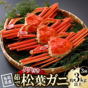 �y�ӂ邳�Ɣ[�Łz�y��s�\��z���挧�Y �^�O�t�� 䥏��t���� 1kg�ȏ�×3�t(�������X)25�N12���E26�N1�������y�z���s�n��F�����E�k�C���E���ꌧ�E���k�E�M�z�A�k���z�y1692755�z