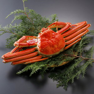 �y�ӂ邳�Ɣ[�Łz�y��s�\��z���挧�Y �^�O�t�� � ���t���� 700g×2�t(�������X)25�N12���E26�N1�������y�z���s�n��F�����E�k�C���E���ꌧ�E���k�E�M�z�A�k���z�y1692766�z