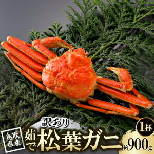 �y�ӂ邳�Ɣ[�Łz�y��s�\��z���挧�Y �󂠂� � ���t���� 900g×1�t(�������X)25�N12���E26�N1�������y�z���s�n��F�����E�k�C���E���ꌧ�E���k�E�M�z�A�k���z�y1692774�z