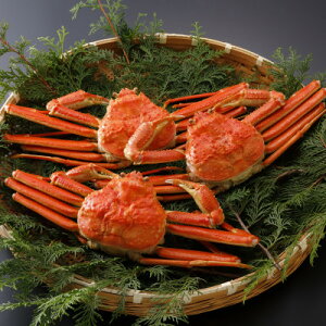 �y�ӂ邳�Ɣ[�Łz�y��s�\��z���挧�Y �󂠂� � ���t���� 700g×3�t(�������X)25�N12���E26�N1�������y�z���s�n��F�����E�k�C���E���ꌧ�E���k�E�M�z�A�k���z�y1692786�z