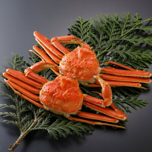 �y�ӂ邳�Ɣ[�Łz�y��s�\��z���挧�Y �󂠂� � ���t���� 500g×2�t(�������X)25�N12���E26�N1�������y�z���s�n��F�����E�k�C���E���ꌧ�E���k�E�M�z�A�k���z�y1692802�z