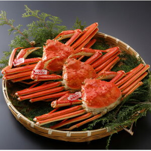 �y�ӂ邳�Ɣ[�Łz�y��s�\��z���挧�Y �^�O�t�� � ���t���� 700g×3�t(�������X)2026�N1������菇�������y�z���s�n��F�����E�k�C���E���ꌧ�E���k�E�M�z�A�k���z�y1692928�z